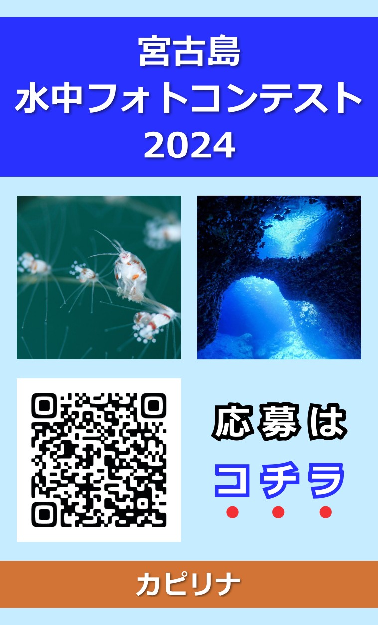 フォトコンQR