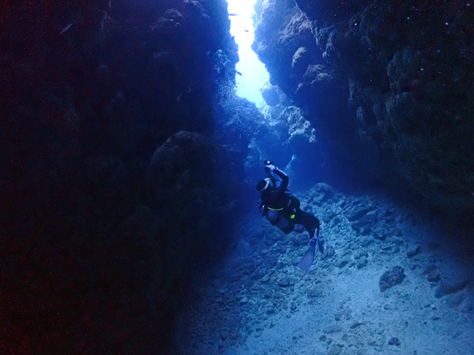 中の島チャネル