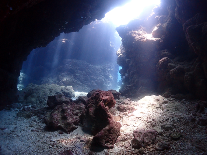 中の島チャネル