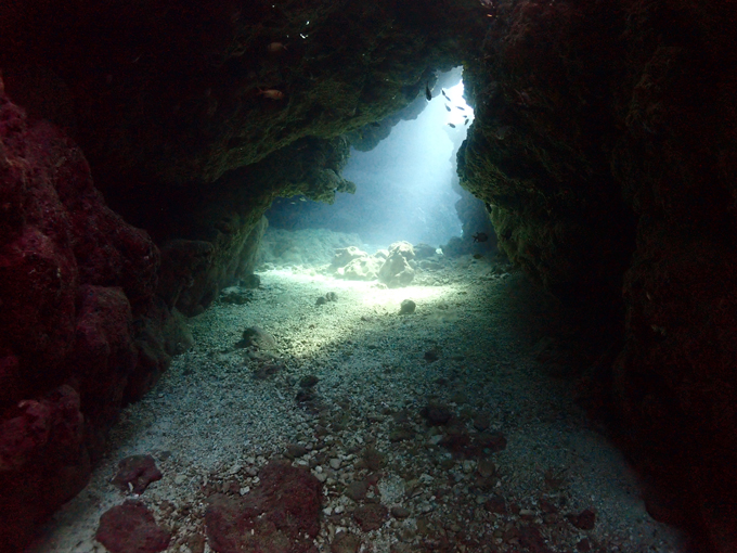 中の島チャネル