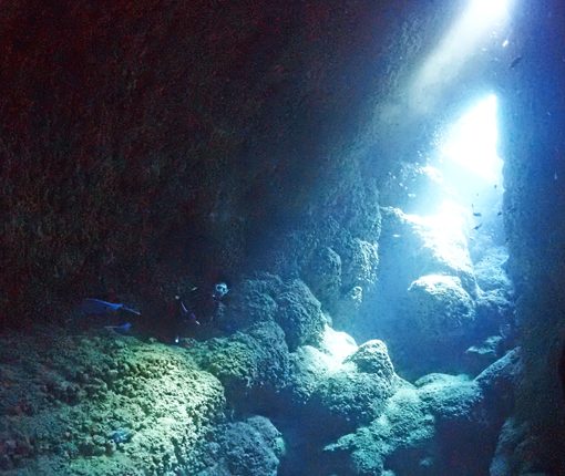 中の島ホール