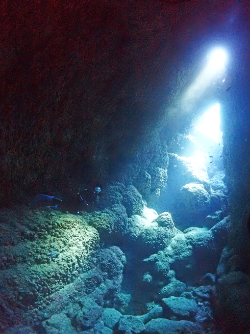 中の島ホール