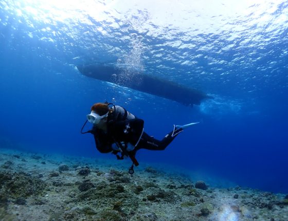 中の島チャネル