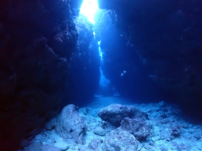 中の島チャネル