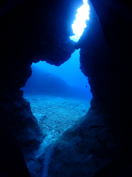 中の島チャネル