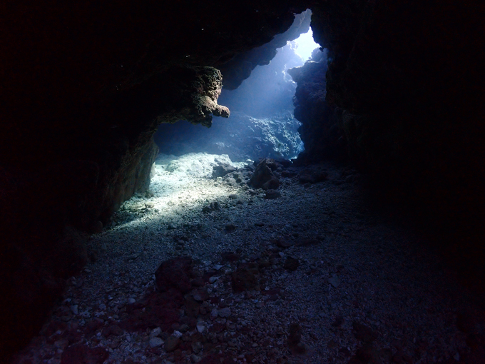 中の島チャネル