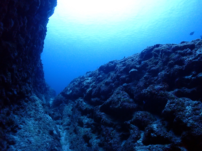 中の島チャネル